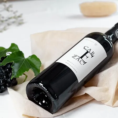 Hotel Logis Et Restaurant La Bastide Cabezac 3*