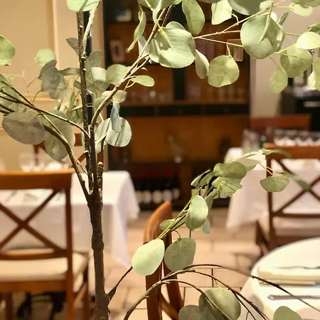 Logis Et Restaurant La Bastide Cabezac Биз-Минервуа