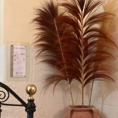 Logis Et Restaurant La Bastide Cabezac 3* Биз-Минервуа