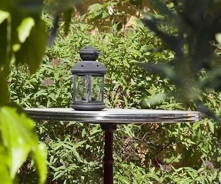 Logis Et Restaurant La Bastide Cabezac 3* Биз-Минервуа